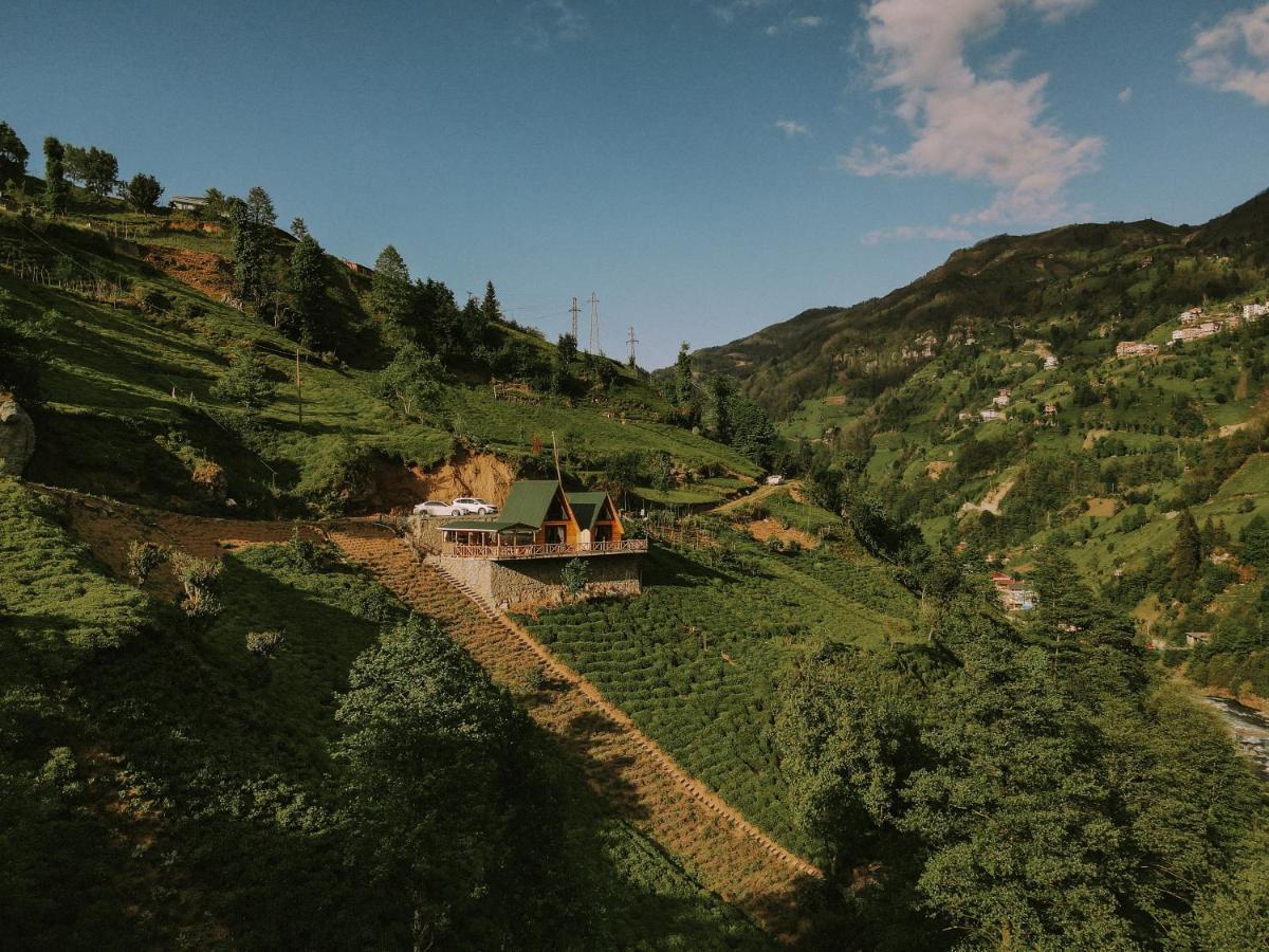 Purkinora Bungalov Çamlıhemşin Kültér fotó