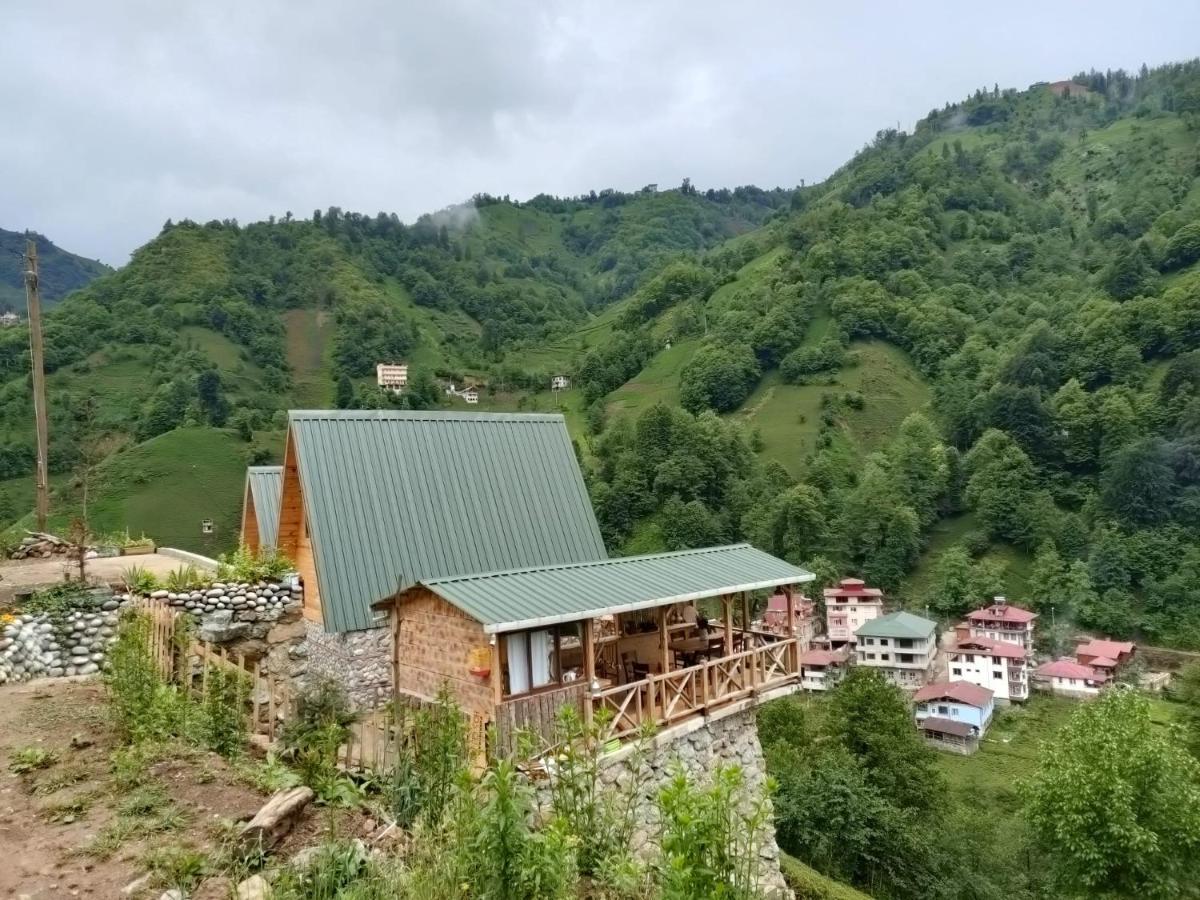 Purkinora Bungalov Çamlıhemşin Kültér fotó
