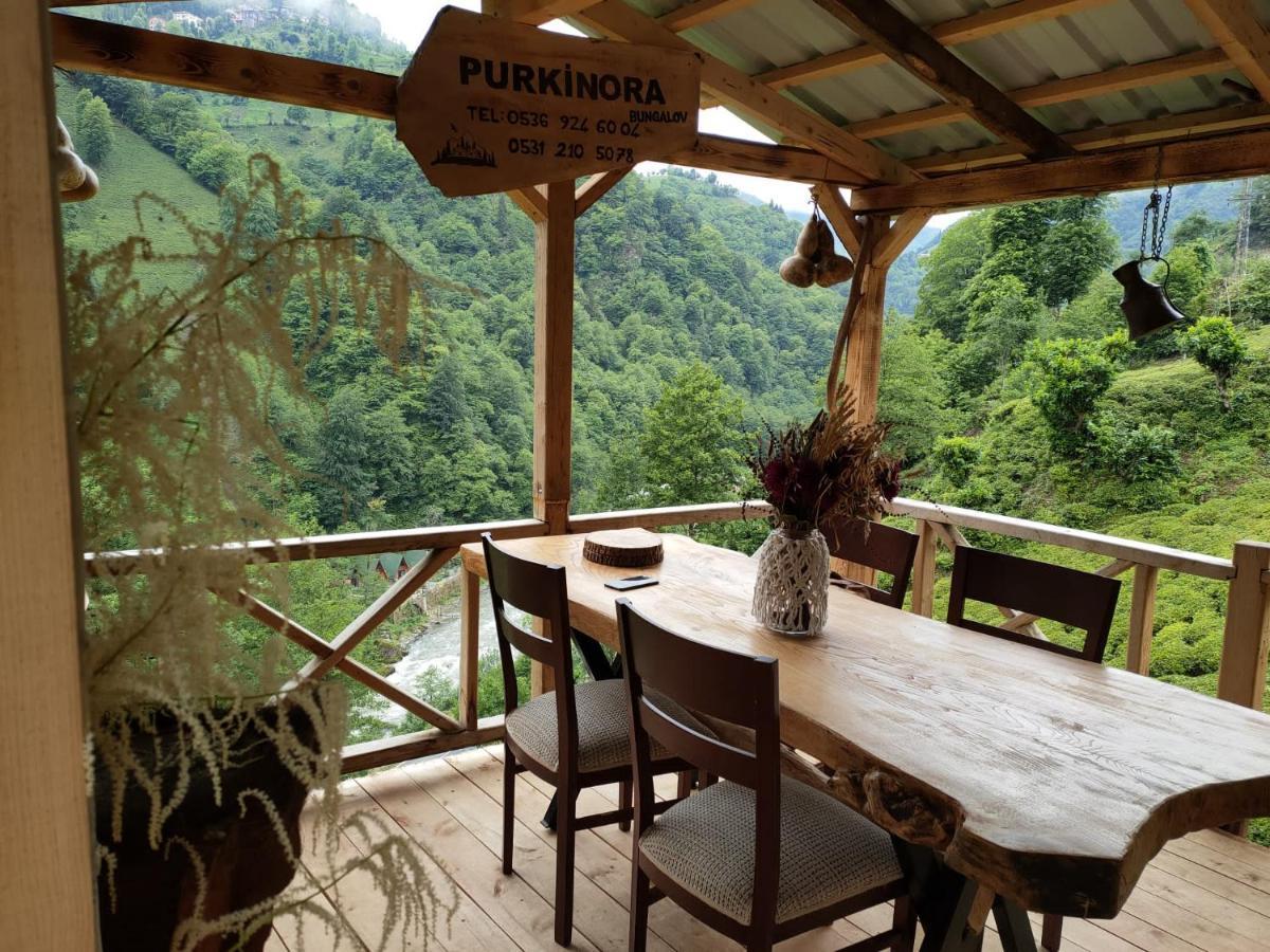 Purkinora Bungalov Çamlıhemşin Kültér fotó