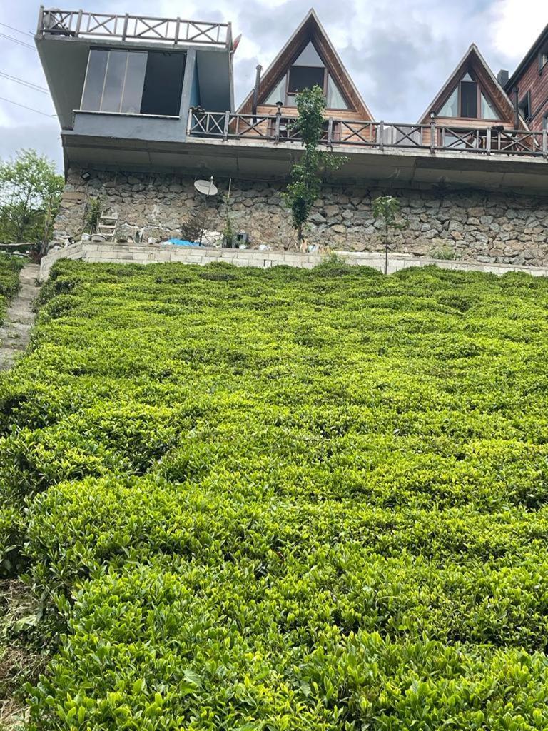 Purkinora Bungalov Çamlıhemşin Kültér fotó