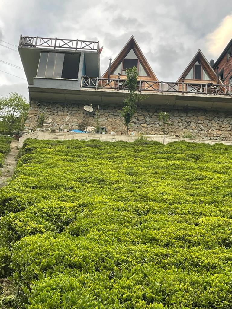 Purkinora Bungalov Çamlıhemşin Kültér fotó